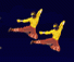 Ninja Combat